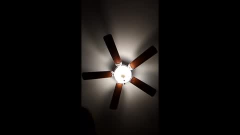 mrorange50187 online show from 18, 12, 2024