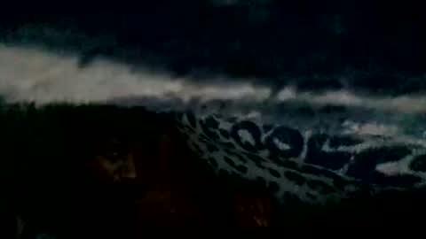 mrvnaked online show from 22, 12, 2024