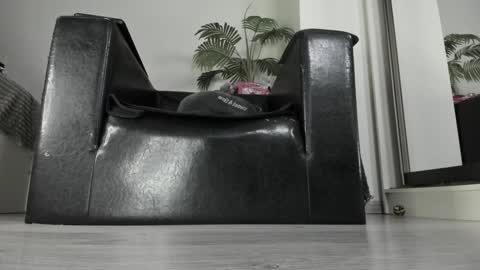 Goddess. Miss. Lady.  Queen. Madam Milady online show from 10, 1, 2025