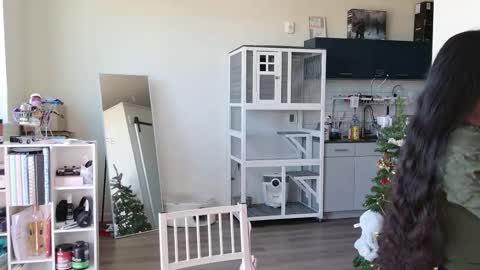 Snapshot of ms_mochii chatting on 25, 10, 2025 R o r i SnapChat heyroriv2 wednesday - sunday Noon oclock mountain - 5pm mountain online show from 25, 10, 2025