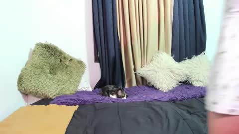 Miss Justine online show from 8, 3, 2026