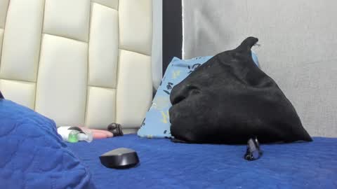 FERNANDA 3 online show from 29, 1, 2025