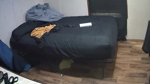 Muffdiver online show from 26, 4, 2026