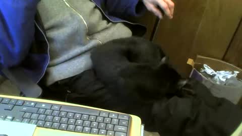 muller520 online show from 21, 2, 2025