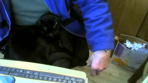 muller520 online show from 22, 2, 2025