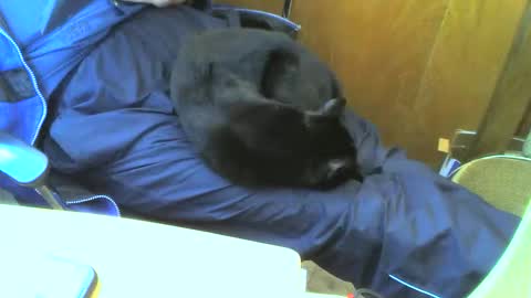 muller520 online show from 15, 9, 2025