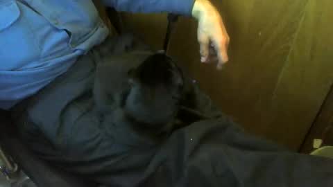 muller520 online show from 20, 4, 2026