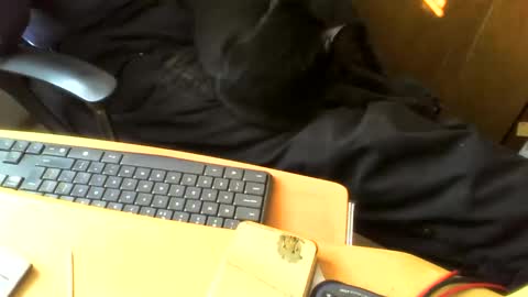 muller520 online show from 28, 4, 2026