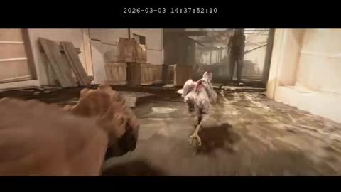 Snapshot of multitest101 chatting on 3, 3, 2026 multitest101 online show from 3, 3, 2026