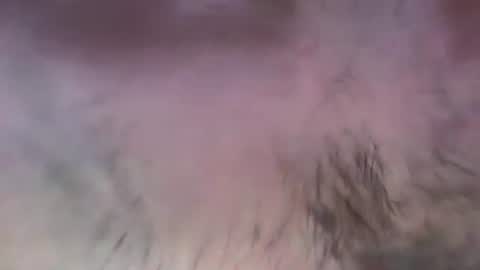 Snapshot of musclehair3 chatting on 13, 7, 2026 musclehair3 online show from 13, 7, 2026