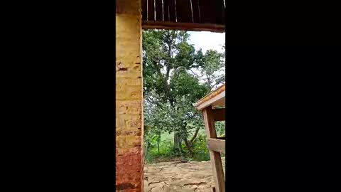 mwmgaara online show from 12, 3, 2026