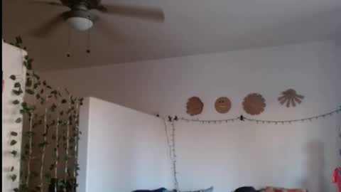 LA MARIPOSA DE MARICOPA online show from 21, 2, 2025