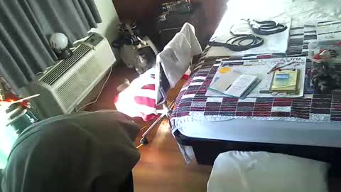 LA MARIPOSA DE MARICOPA online show from 30, 11, 2025