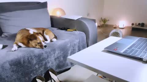 Anda online show from 17, 2, 2025