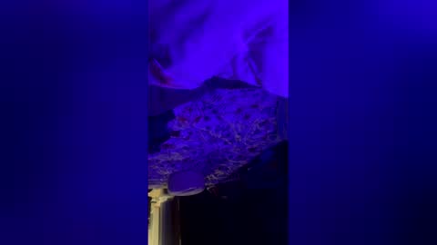 mysexiness0 online show from 12, 3, 2026