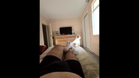 mysterbearmg online show from 27, 9, 2025