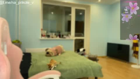 Vanessa and Julia  online show from 24, 10, 2025