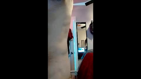 Snapshot of nachito650 chatting on 19, 12, 2025 cheesechip online show from 19, 12, 2025