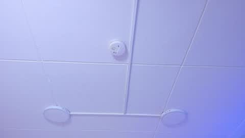 Naenia online show from 21, 11, 2025