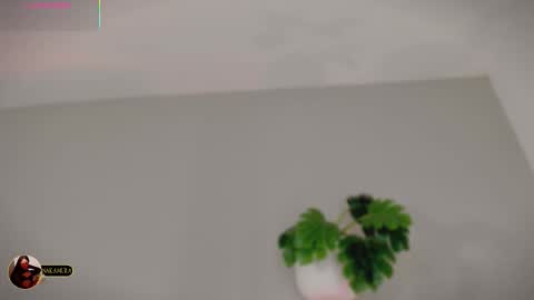 Snapshot of nakamura_san chatting on 3, 3, 2026 INSTAGRAM m2221 online show from 3, 3, 2026