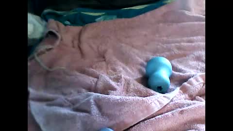 nakedboymdx online show from 23, 3, 2026