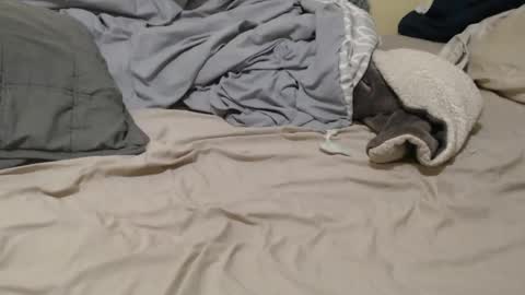 nalitonude online show from 23, 12, 2024