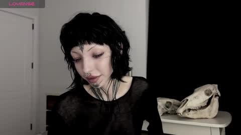 Snapshot of nananevaeragain chatting on 28, 12, 2024 Nana online show from 28, 12, 2024