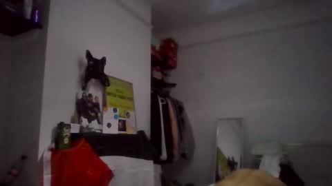 Snapshot of narcomarco14 chatting on 11, 11, 2025 NarcoMarco online show from 11, 11, 2025