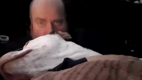 Snapshot of nastysubs69 chatting on 16, 12, 2025 nastysubs69 online show from 16, 12, 2025