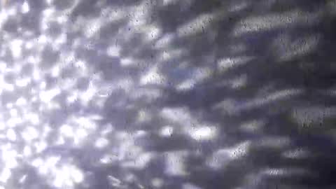 Snapshot of nastysubs69 chatting on 20, 12, 2025 nastysubs69 online show from 20, 12, 2025