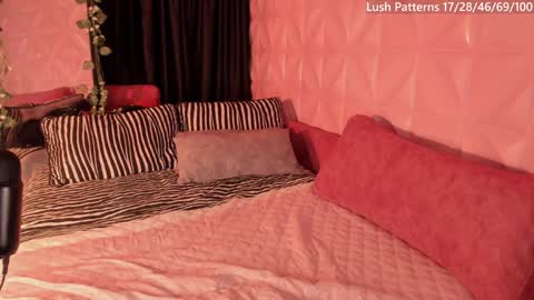 Nata online show from 2, 12, 2024