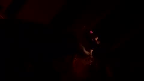 naturebabe666 online show from 14, 4, 2026