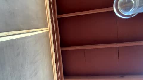 naturebabe666 online show from 26, 7, 2026