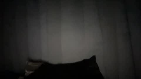 Rose Wilson online show from 6, 1, 2025