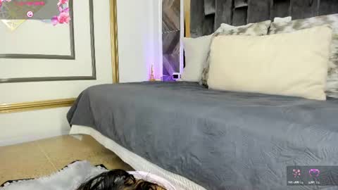   online show from 22, 6, 2026