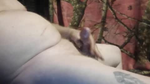 ned is naughty online show from 7, 3, 2026