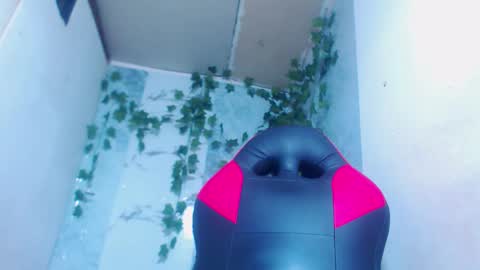 negrita online show from 12, 2, 2026