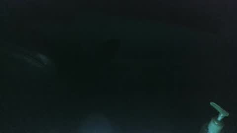 Snapshot of nelsonbucara chatting on 8, 3, 2025 nelsonbucara online show from 8, 3, 2025