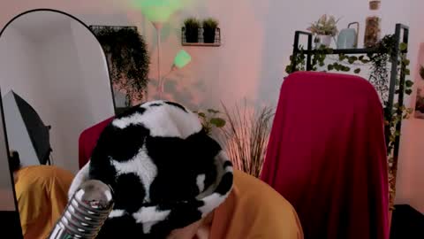 Neo Geisha online show from 24, 4, 2026