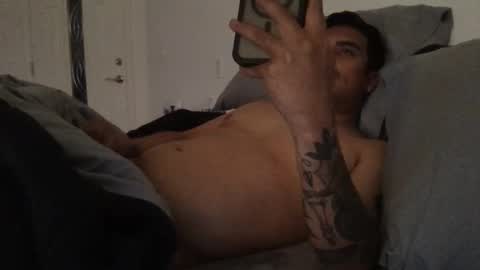 Snapshot of never___satisfied chatting on 1, 11, 2025 never___satisfied online show from 1, 11, 2025