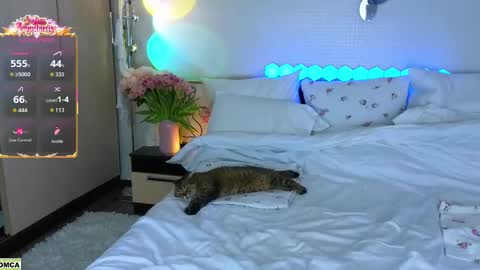 never give up  online show from 17, 3, 2026