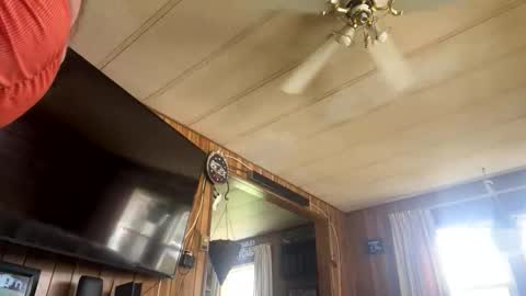 neversaynevrrr online show from 1, 11, 2025