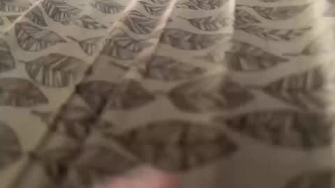 Meow Meow online show from 12, 10, 2025