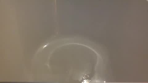 newgirl020918 online show from 15, 3, 2026