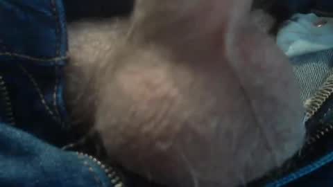 ni983 online show from 11, 12, 2024