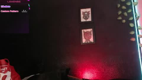  niakat  online show from 5, 6, 2026