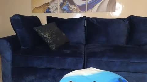 Snapshot of nicckah_ chatting on 21, 12, 2024 Lilly online show from 21, 12, 2024