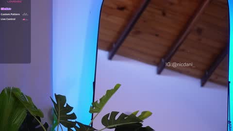 Dani 3 online show from 18, 1, 2025