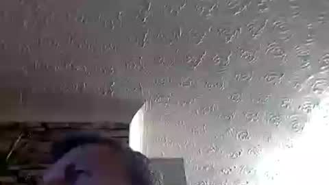 nice_cock8080 online show from 4, 7, 2026