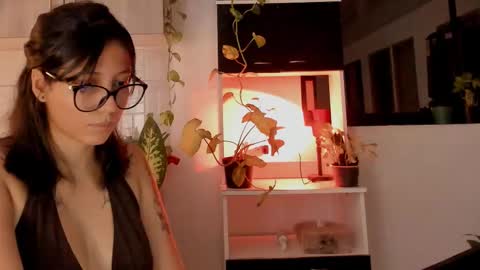 day  online show from 26, 10, 2025